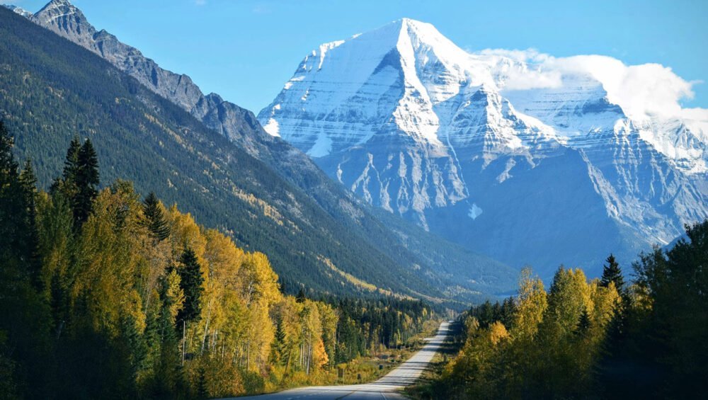 Separated they live in Bookmarksgrove 39 blog 3