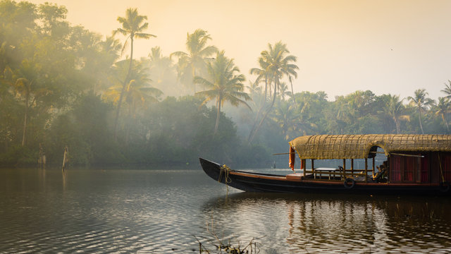 Family Vacation in Kerala: Beaches, Backwaters & Wildlife